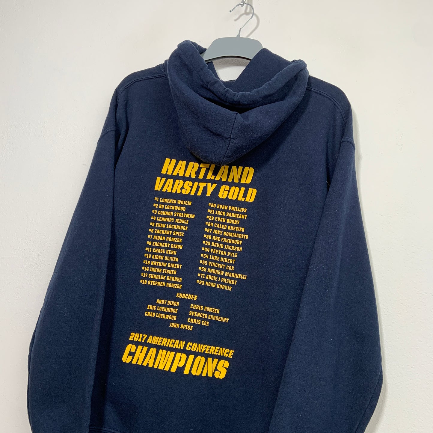 Hanorac Vintage Gildan Hartland Eagles