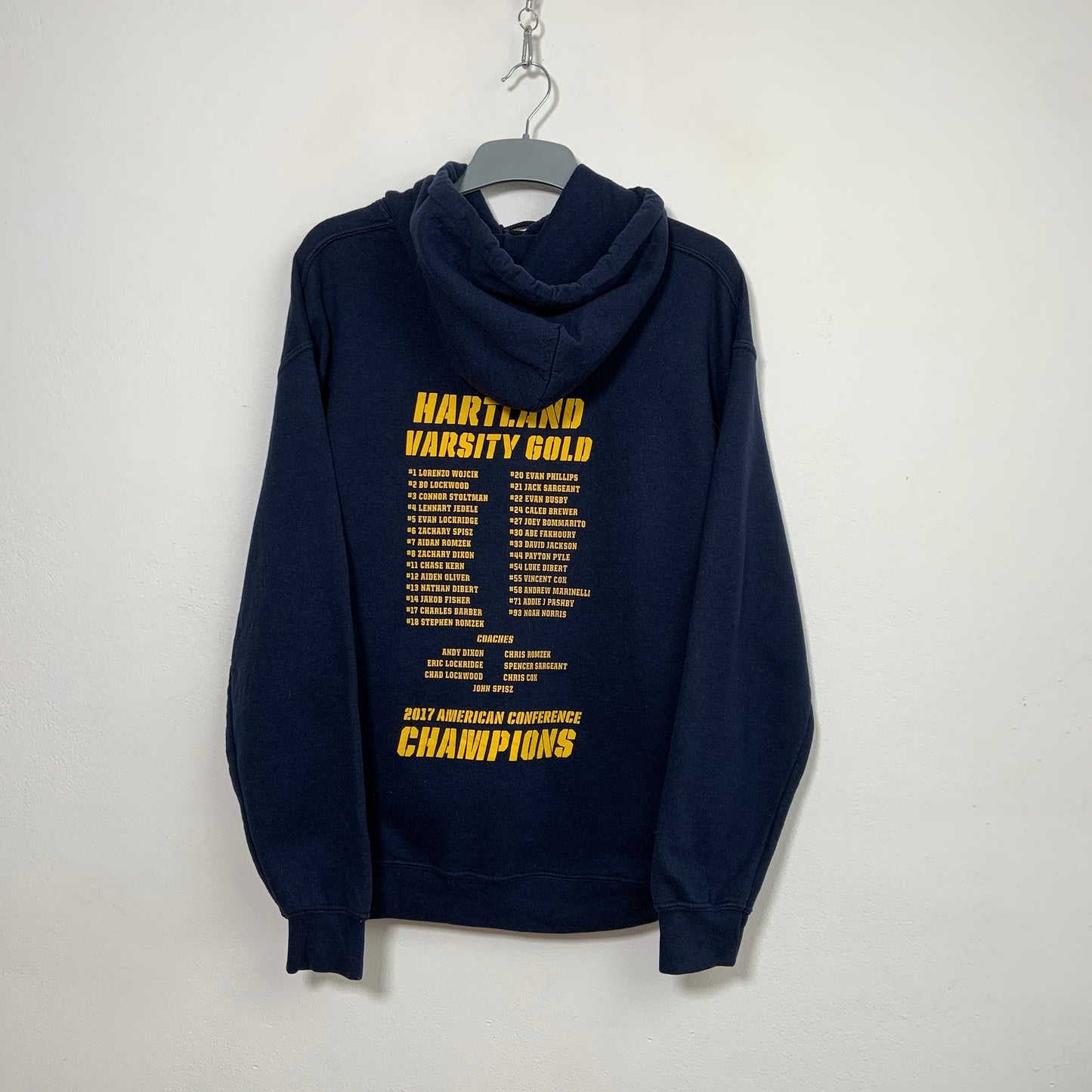 Hanorac Vintage Gildan Hartland Eagles
