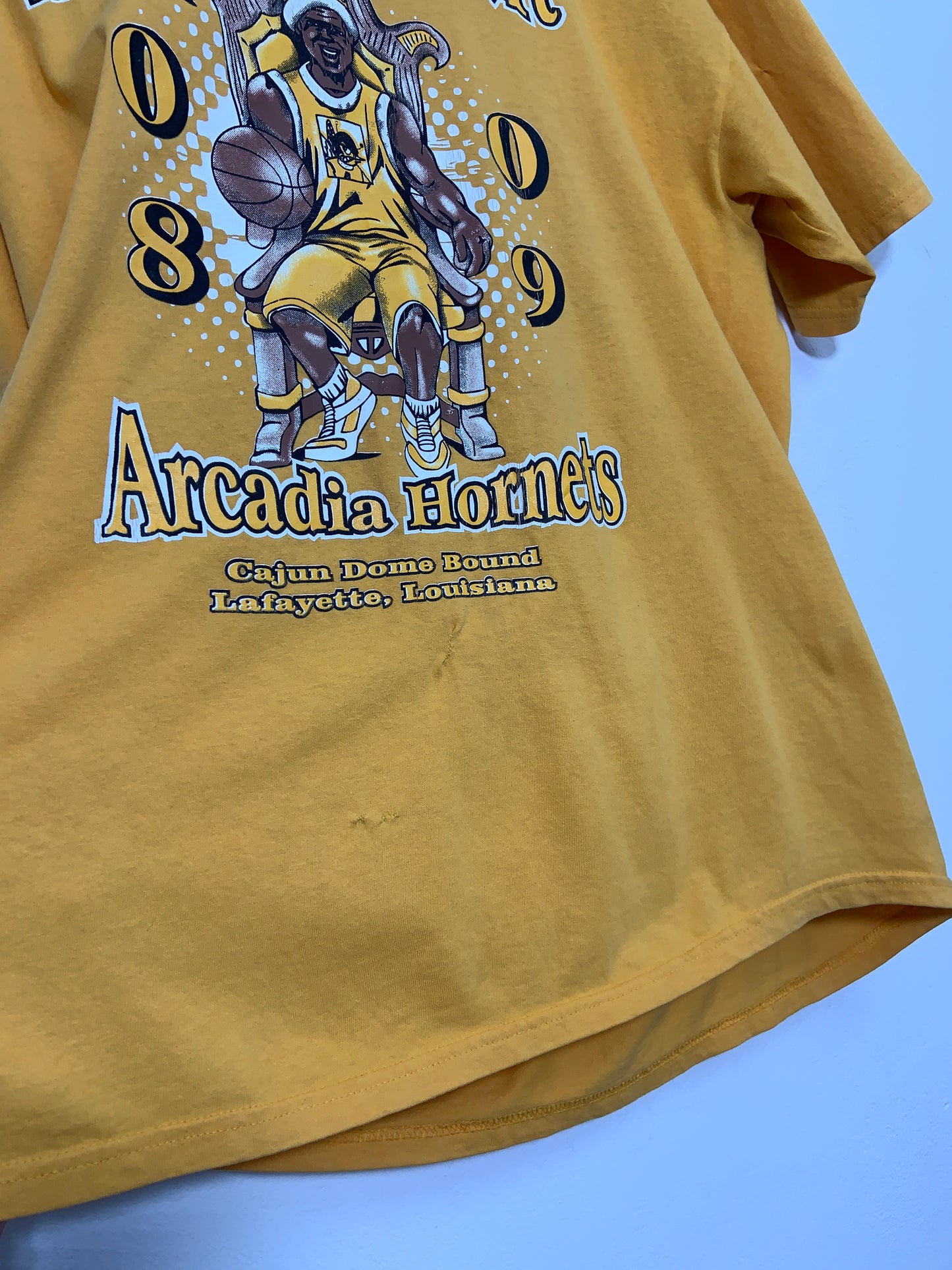 Tricou Vintage Arcadia Hornets
