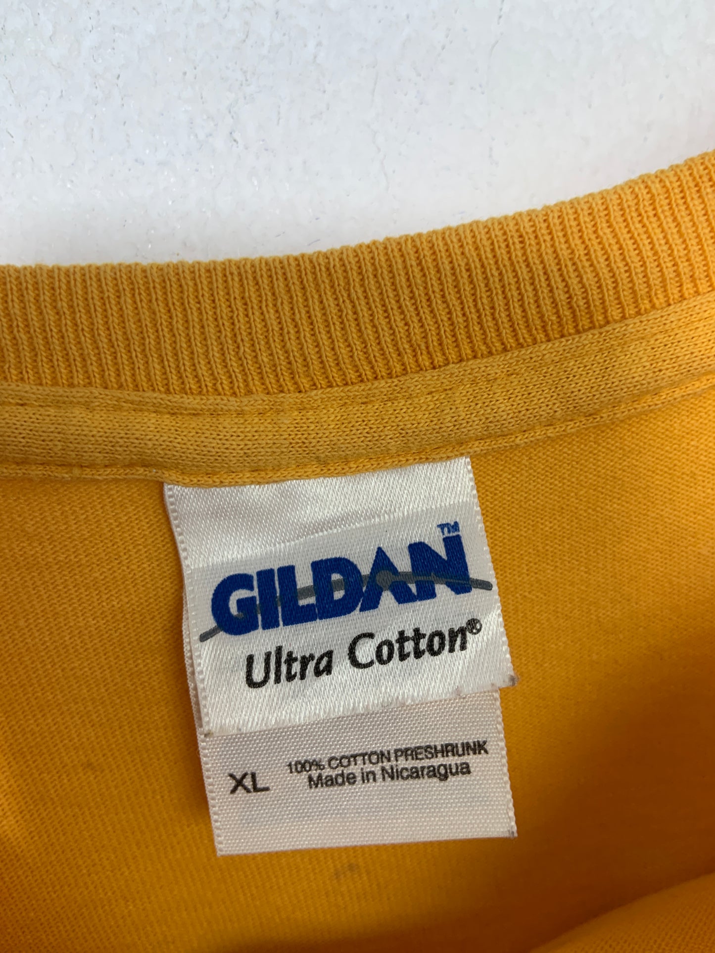 Tricou Vintage Arcadia Hornets