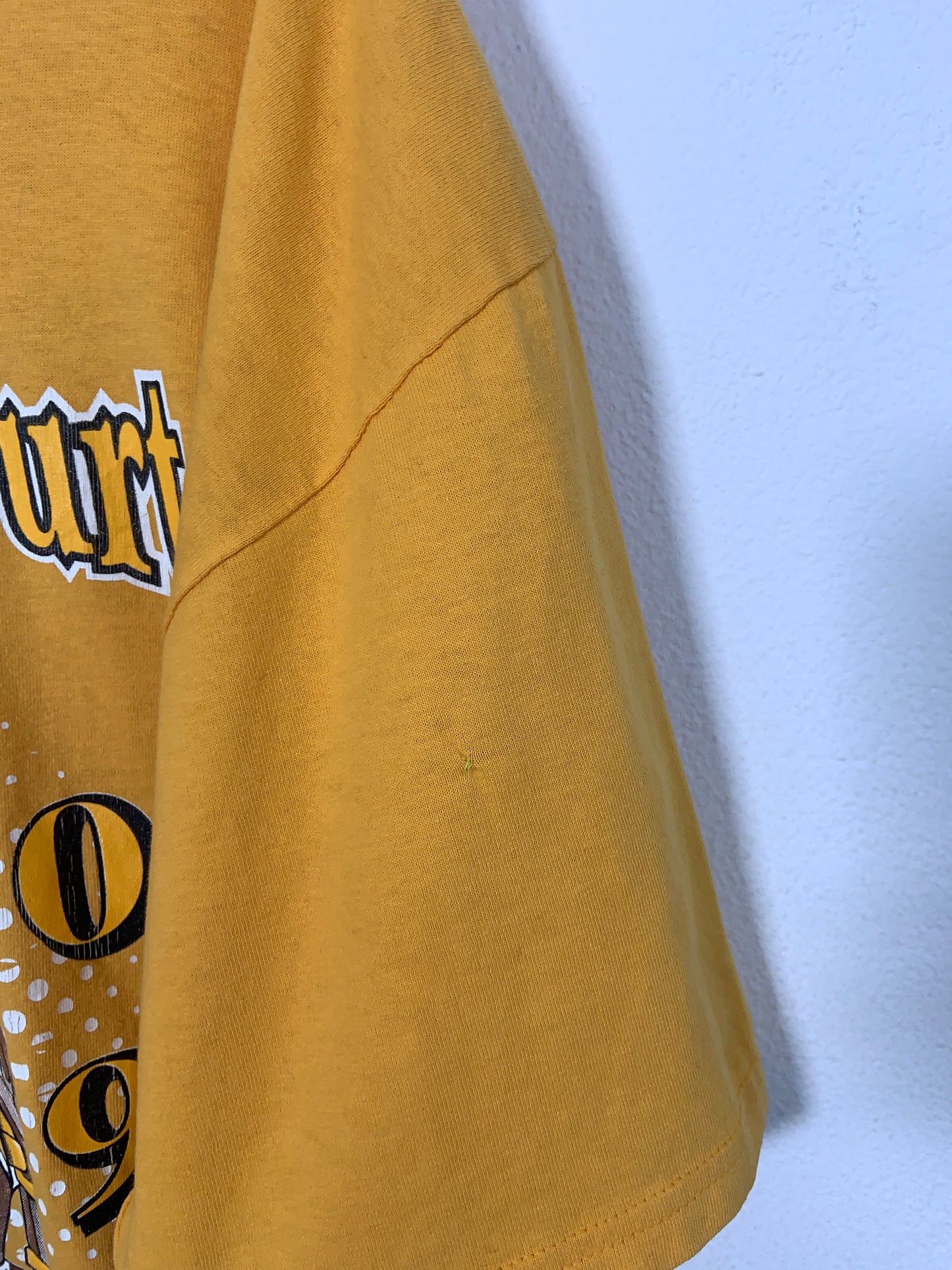 Tricou Vintage Arcadia Hornets