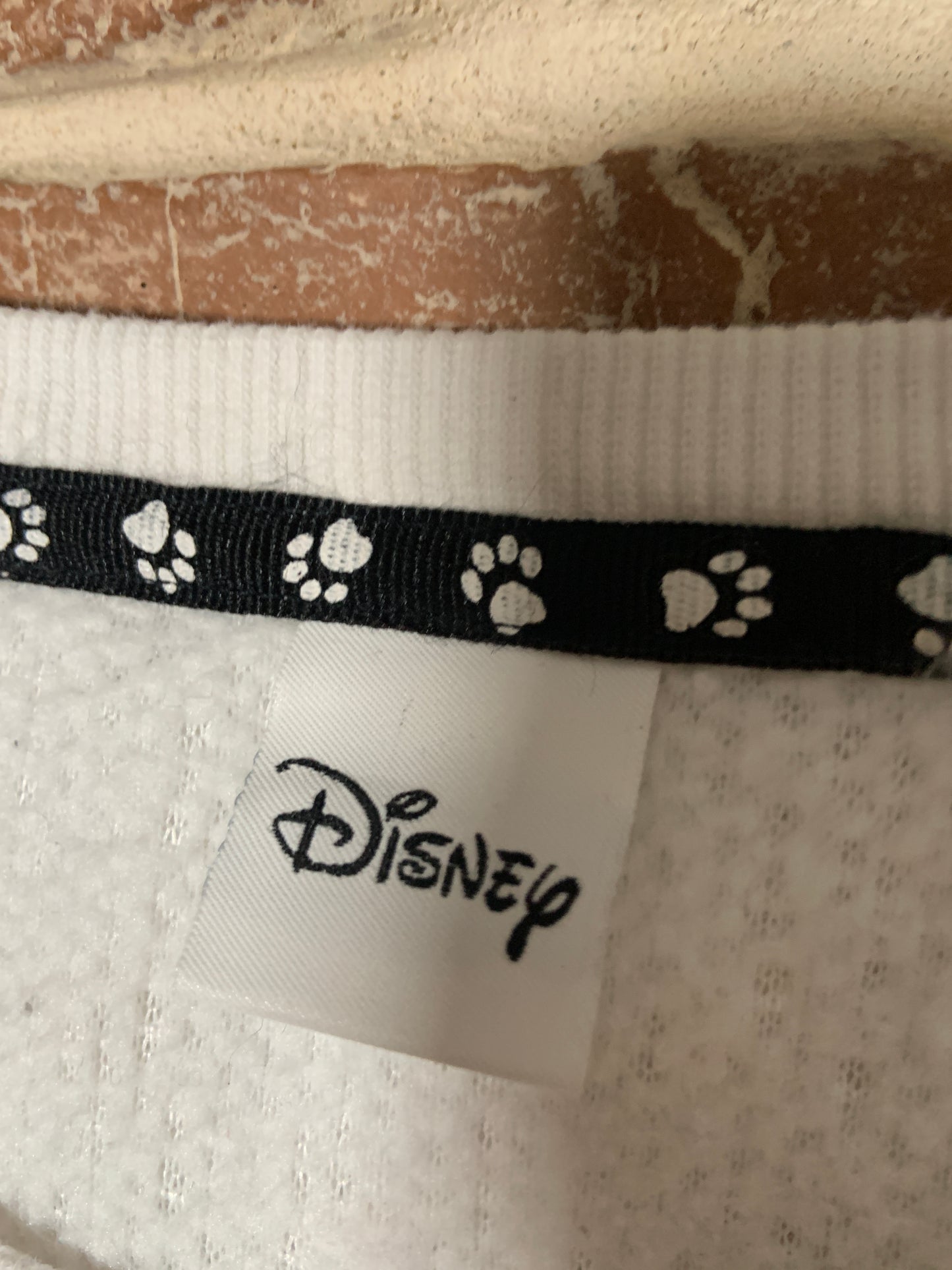 Polar damă Disney